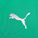 Camisa Palmeiras Treino 25/26 - Verde